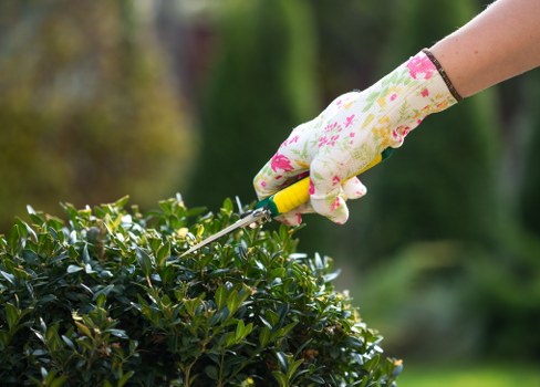 Botany Bay gardeners improving a coastal garden bed