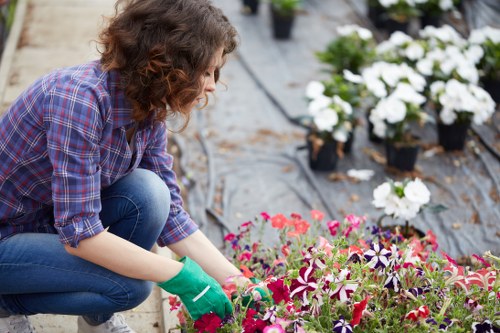Gardeners Botany Bay pricing overview for local garden work