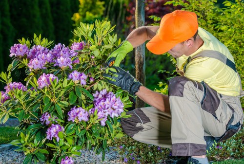 A gardener reviewing a service concern in a professional complaints process