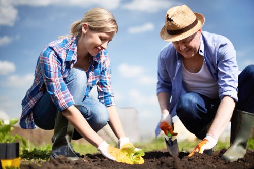Stump removal and tree surgery service in Botany Bay
