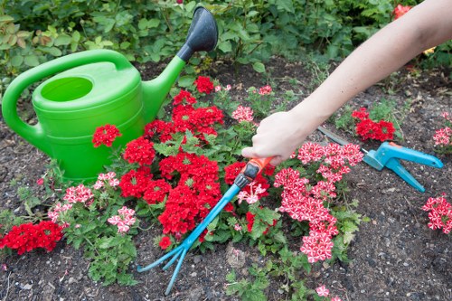 Deck repair and restoration service in Botany Bay