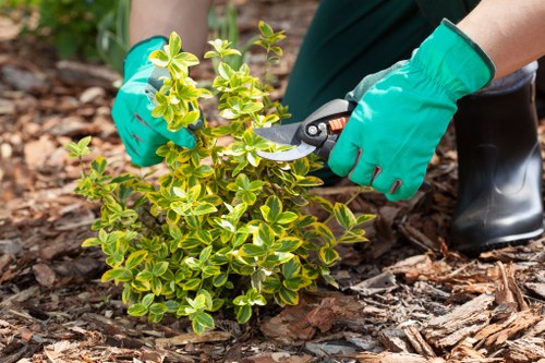 A scheduled garden maintenance visit with plants and lawn care