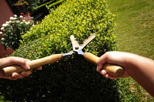 Insured garden maintenance work in Botany Bay with safety focus