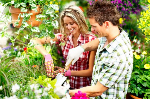 Professional Botany Bay garden clearance removing weeds and garden waste