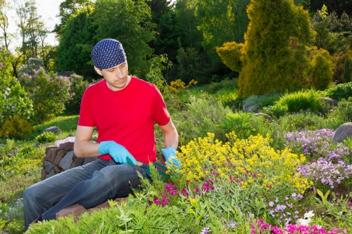 Soil improvement and fertiliser care for a Botany Bay lawn