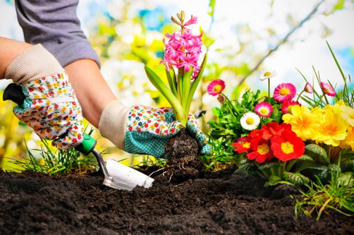 Lawn care maintenance tools and freshly cut grass in Botany Bay