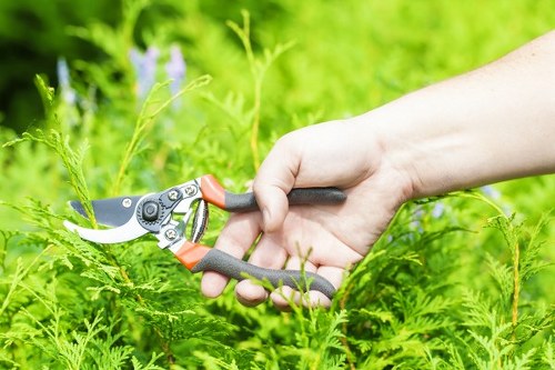 Residential lawn mowing in Botany Bay maintaining a clean backyard and curb appeal