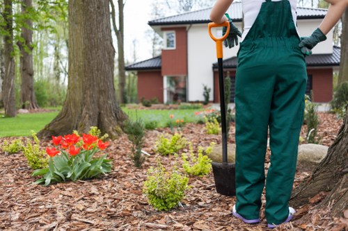Professional hedge maintenance in Botany Bay residential property