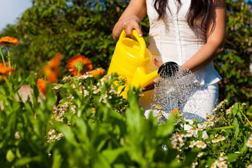 Pressure washing equipment used for patio cleaning in Botany Bay