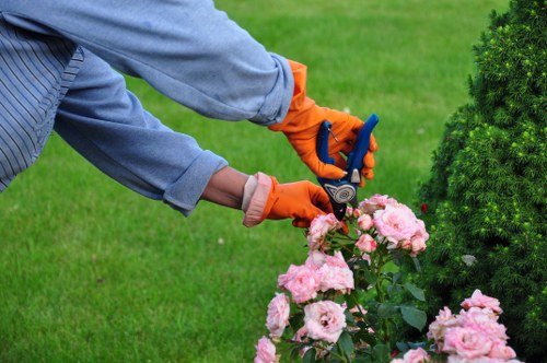 Decorative front fence improving street appeal in Botany Bay