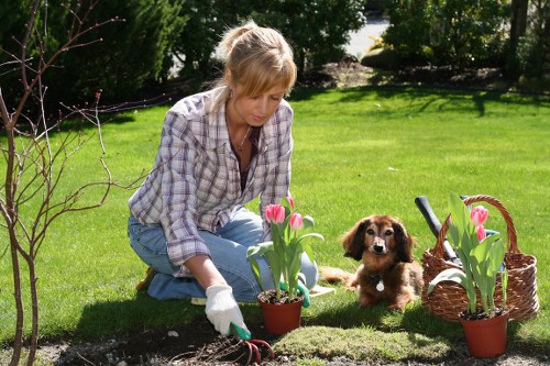 Regular lawn care and pruning for a well-kept Botany Bay garden