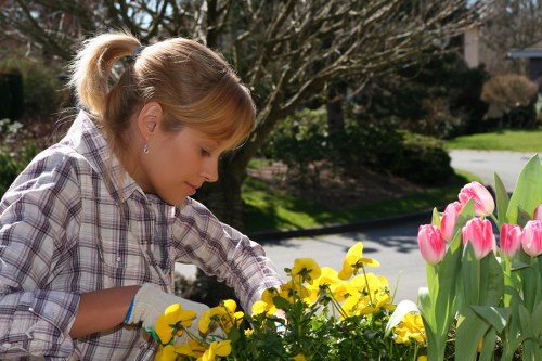 Ethical supply chain commitment for Gardeners Botany Bay