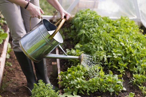 Planned backyard landscape gardening in Botany Bay with paved areas