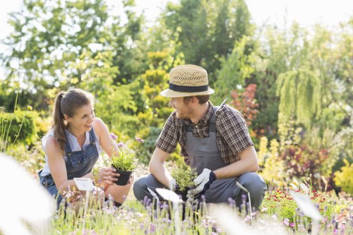 Site risk assessment for garden maintenance work
