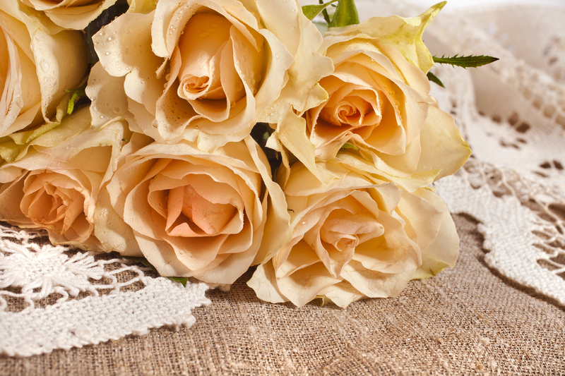 garden maintenance Garden